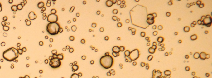 Images of ice fog crystals